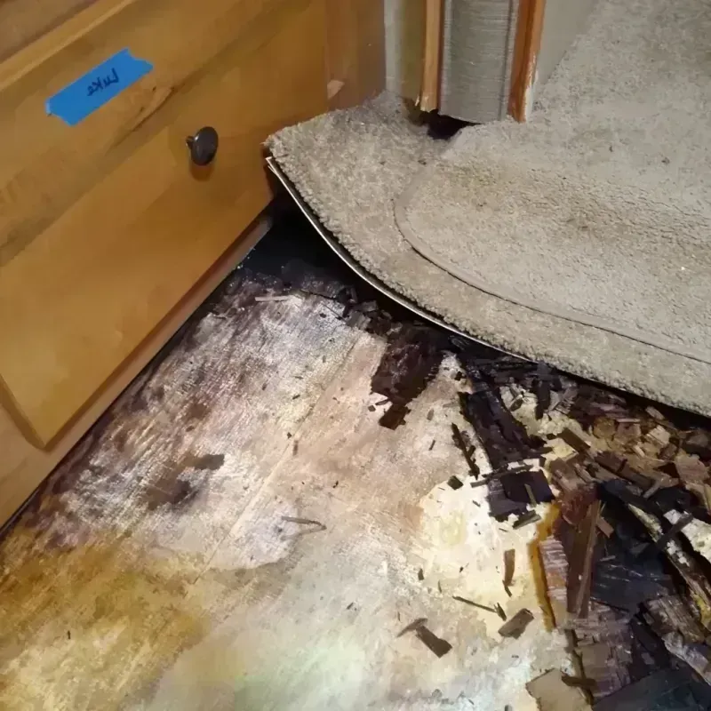 Wood Floor Water Damage in Minot, ND